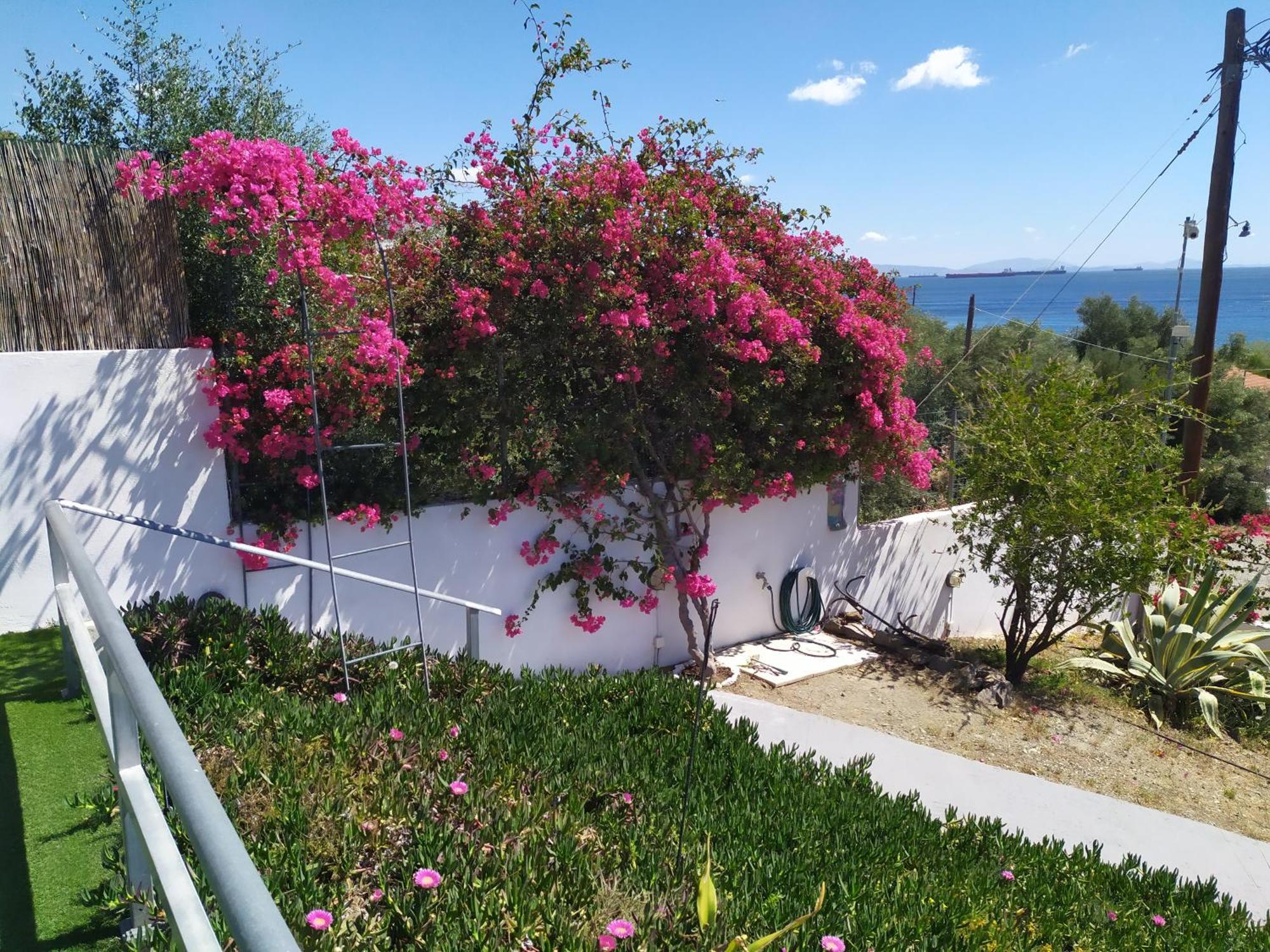 Thalassa Παναγιά Εξωτερικό φωτογραφία