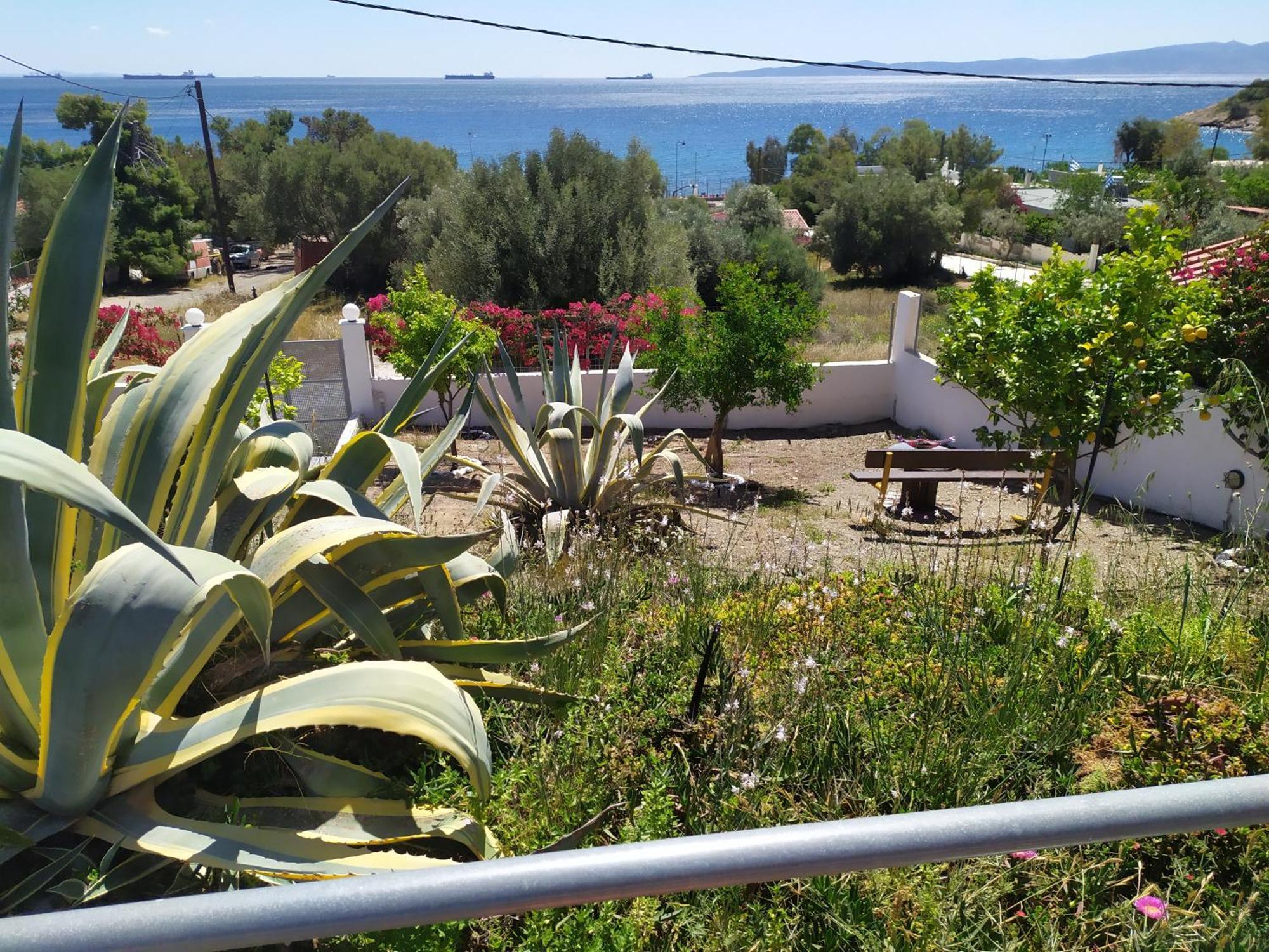 Thalassa Παναγιά Εξωτερικό φωτογραφία